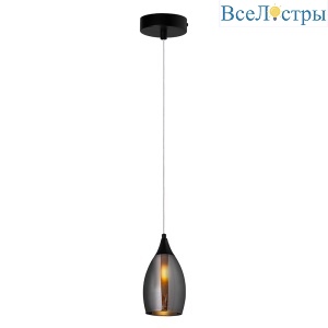 Подвесной светильник Arte Lamp Barry A7951SP-1BK