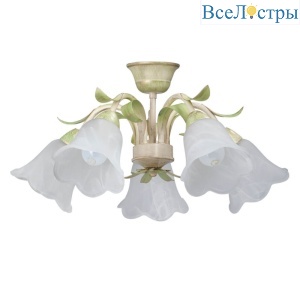 Потолочная люстра Vitaluce V1451/5PL