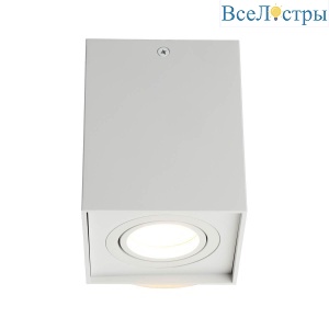 Накладной светильник Omnilux Feletto OML-101109-01