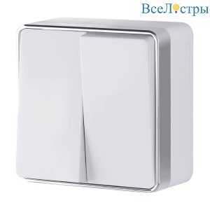 Выключатель двухклавишный Werkel Gallant белый W5020001 4690389164118