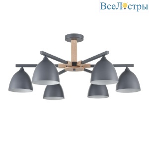 Люстра на штанге Lumion Colange 8096/6C
