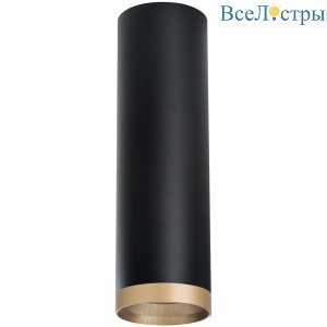 Накладной светильник Lightstar Rullo R6497490 (216497+203490)