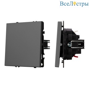 Механизм выключателя одноклавишный проходной Arlight SWT-NOBE-MKP1-SFPL-GR (230V, 10A) 054248