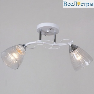 Потолочный светильник Reluce 55560-0.3-02 WH+CR