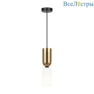 Подвесной светильник Maytoni Memory MOD177PL-01G