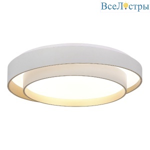Потолочный светильник Evoluce Crosby SLE6009-502-01
