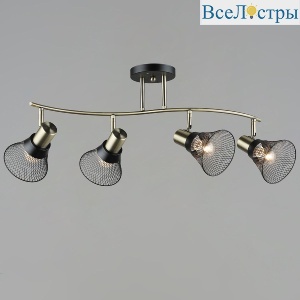 Спот Reluce 06243-0.8-04 AB+BK