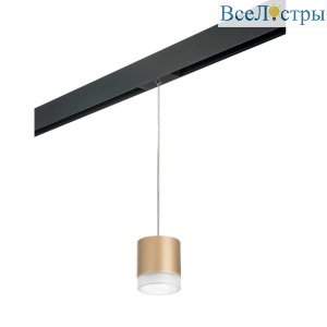 Трековый светильник Lightstar Rullo (213490+595887+202480) PRORP349080