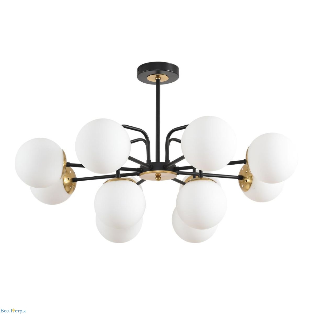 люстра на штанге lumion moderni elrona 8375/12c