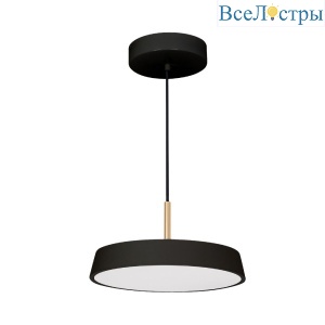Подвесной светильник Arlight SP-ELEGANT-R300-17W Warm3000 (BK, 120 deg, 230V) 033921(1)