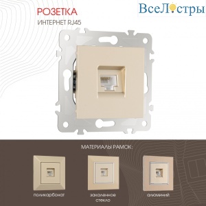 Розетка RJ45 Arte Milano 203.45-1.shampan