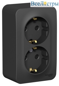 Розетка 2-ая с/з со шторками 16А,250В, изолир. пластина Systeme Electric Blanca наруж Антрацит BLNRA011216