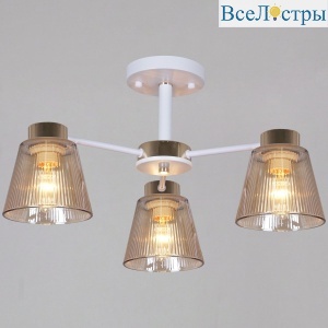 Потолочный светильник Reluce 20560-0.3-03 WH+FG