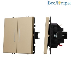 Механизм выключателя двухклавишный проходной Arlight LED SWT-NOBE-MKP2-SFPL-L-GD (230V, 10A) 054268