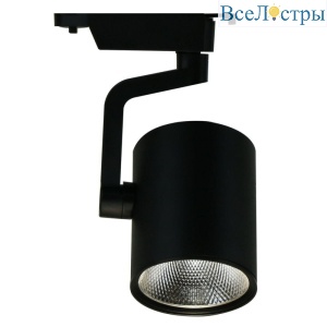 Трековый светодиодный светильник Arte Lamp Traccia A2330PL-1BK