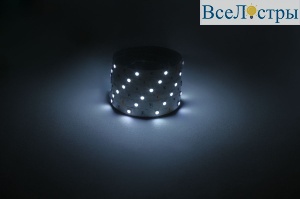 Светодиодная лента Эра 12В 5050 7,2Вт/м 6500K 5м IP20 LS5050-7,2-30-12-6500K-IP20-1 year-5m Б0059917
