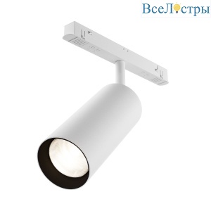 Трековый магнитный светильник Maytoni Focus LED TR032-2-20W4K-S-W