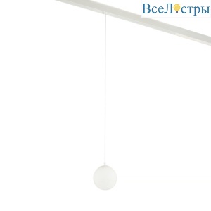 Трековый магнитный светильник Myfar Sphere MT0223-10W3K-S-W