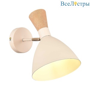 Спот Evoluce Vista SLE1256-501-01