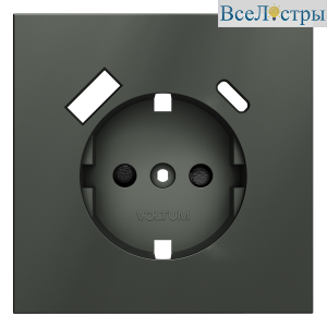 Накладка для розетки с заземлением и защитными шторками, с USB A+C Voltum S70 (титан) VLS001006