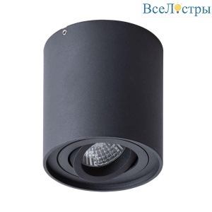 Потолочный светильник Arte Lamp Falcon A5645PL-1BK