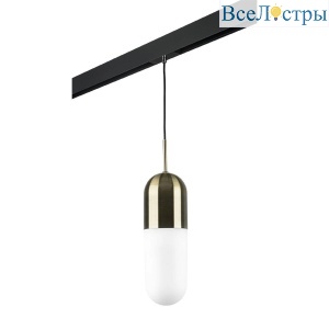 Трековый светильник Lightstar Ramo (690111+595007) PRO690111