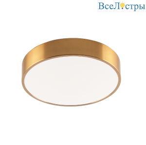 Потолочный светильник Zortes Tortty ZRS.02566.48
