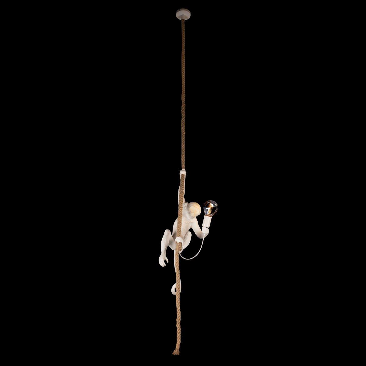 подвесной светильник loft it monkey 10314p