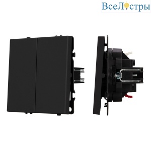 Механизм выключателя двухклавишный проходной Arlight SWT-NOBE-MKP2-SFPL-BK (230V, 10A) 054255