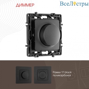 Диммер Arte Milano 217.48-1.black
