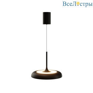 Подвесной светильник Maytoni Gerhard MOD189PL-L39B3K