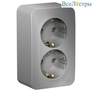 Розетка 2-ая с/з без шторок 16А, 250В, изолир. Пластина Systeme Electric Blanca наруж Алюминий BLNRA010213