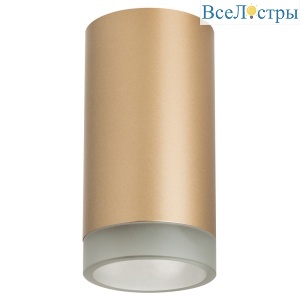 Накладной светильник Lightstar Rullo R44030 (214440+202430)