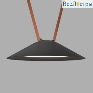 Трековый однофазный светильник Denkirs Belty flow DK5664-BK
