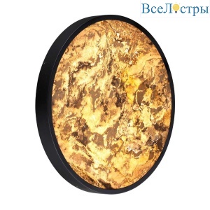 Настенно-потолочный светильник Odeon Light Bergi 5064/40L