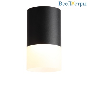 Накладной светильник ST Luce ST100.402.05