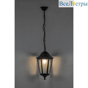 Уличный подвесной светильник Feron 6105 11060