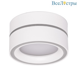 Накладной светильник Feron HL455 48752