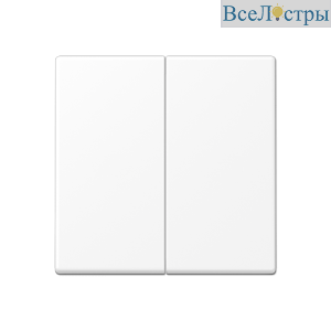 Клавиша для выключателя двухклавишного JUNG EcoProfi EP495WWM