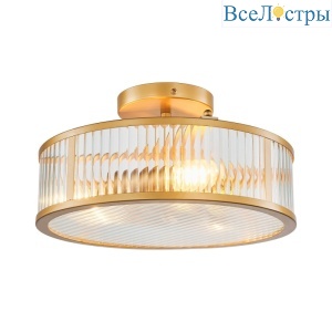 Потолочный светильник Favourite Radiales 3099-3C