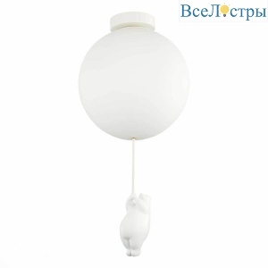 Потолочный светильник Evoluce Modena SLE115412-01