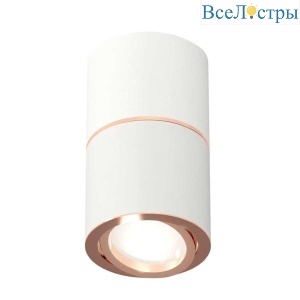 Комплект потолочного светильника Ambrella light Techno Spot XS (C7401, A2073, C7401, N7005) XS7401220