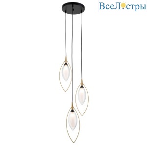 Подвесная люстра Indigo Fiore 13001/3P Black V000143
