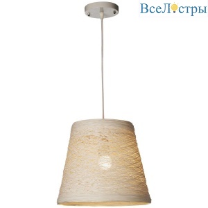 Подвесной светильник VELANTE 569-716-01