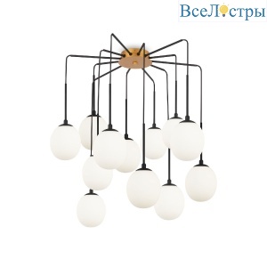 Подвесная люстра Maytoni Branch MOD176PL-12G