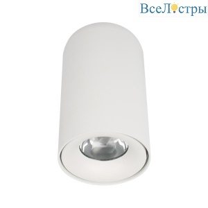 Потолочный светодиодный светильник Loft IT Tictac 10220 White 3000K