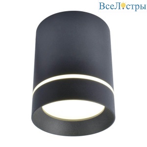 Накладной светильник Arte Lamp Elle 1909 A1909PL-1BK