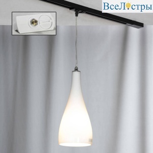Трековый светильник однофазный Lussole Rimini Track Lights LSF-1106-01-TAW