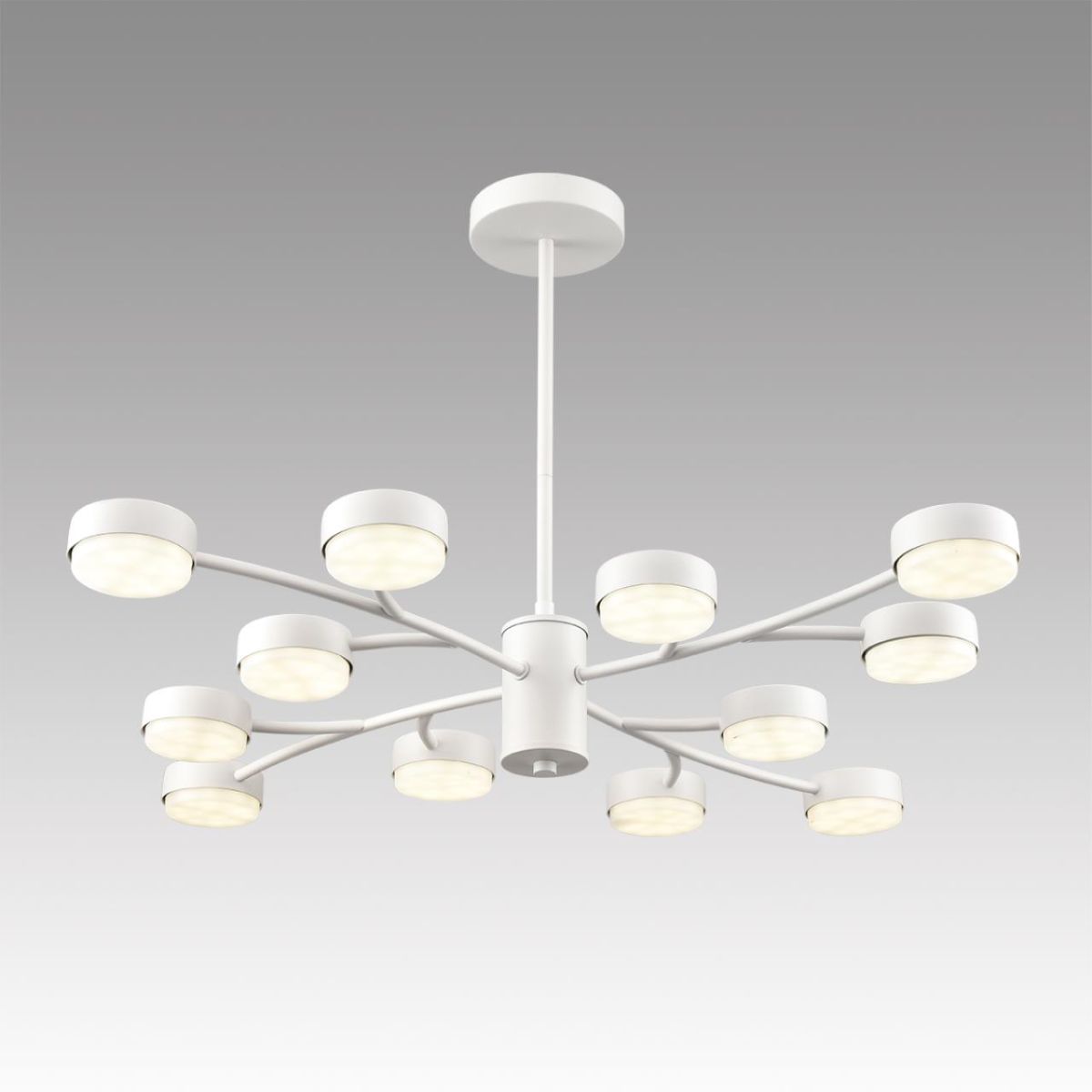люстра на штанге lumion comfi torina 8265/12