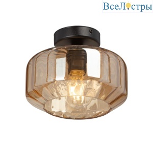 Потолочный светильник Vitaluce V2559-1/1PL